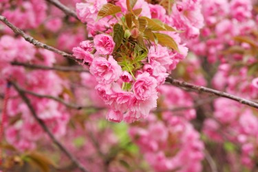 温州平阳9线下个人借款平台一站式服务，轻松解决资金难题