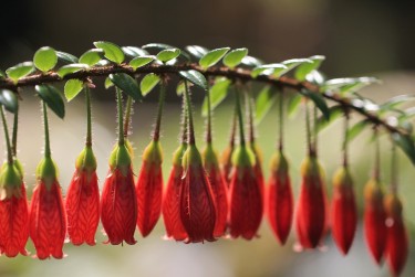 温州平阳9零用贷短借：轻松解决临时资金需求