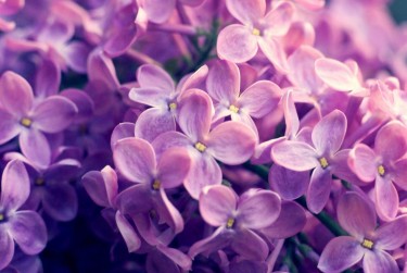 温州平阳9企业急用钱贷款攻略：快速融资解燃眉之急